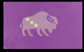 A mockup of the custom flag 'The Bison flag' on a white background