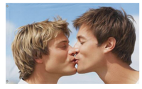 A mockup of the custom flag 'Gay flag' on a white background