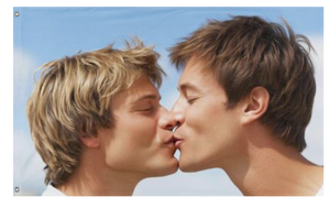 A mockup of the custom flag 'Gay flag' on a white background