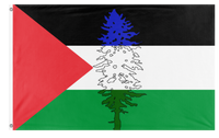 A mockup of the custom flag 'Cascadia for Palestine/Palestinian Cascadian flag' on a white background