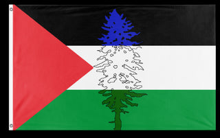 A mockup of the custom flag 'Cascadia for Palestine/Palestinian Cascadian flag' on a white background