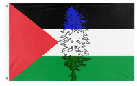 A mockup of the custom flag 'Cascadia for Palestine/Palestinian Cascadian flag' on a white background