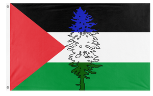 A mockup of the custom flag 'Cascadia for Palestine/Palestinian Cascadian flag' on a white background