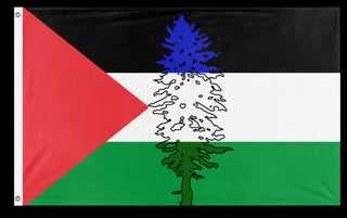 A mockup of the custom flag 'Cascadia for Palestine/Palestinian Cascadian flag' on a white background