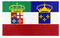A mockup of the custom flag 'italian-french empire flag' on a white background