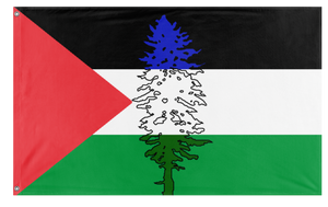 A mockup of the custom flag 'Cascadia for Palestine' on a white background