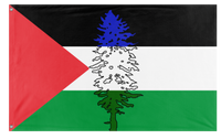 A mockup of the custom flag 'Cascadia for Palestine' on a white background
