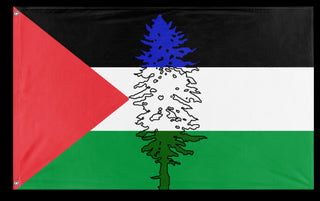 A mockup of the custom flag 'Cascadia for Palestine' on a white background