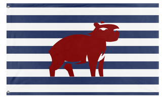 A mockup of the custom flag 'Pp flag' on a white background