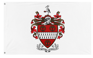 A mockup of the custom flag 'CS Family Flag' on a white background