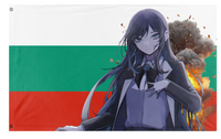 A mockup of the custom flag 'bullshit flag' on a white background