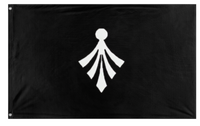 A mockup of the custom flag 'Nite flag' on a white background