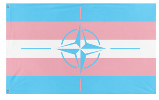 A mockup of the custom flag 'trans nato flag' on a white background