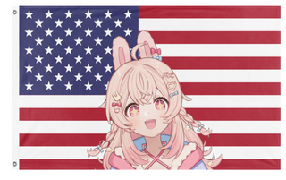 A mockup of the custom flag 'USPIP flag' on a white background