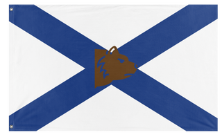 A mockup of the custom flag 'Darolina  flag' on a white background