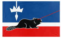 A mockup of the custom flag 'Virginia Laser Beaver flag' on a white background