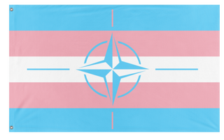 A mockup of the custom flag 'trans nato flag' on a white background