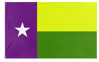 A mockup of the custom flag 'The Galveston flag' on a white background