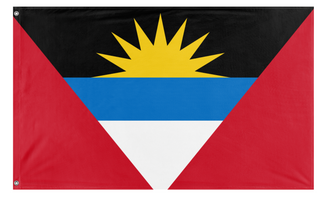 A mockup of the custom flag 'test t flag' on a white background