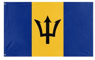 A mockup of the custom flag 'test 1 flag' on a white background