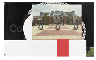 A mockup of the custom flag 'test4 flag' on a white background