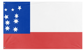 A mockup of the custom flag 'Amazons flag' on a white background