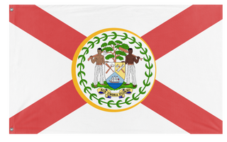 A mockup of the custom flag 'Florida  flag' on a white background