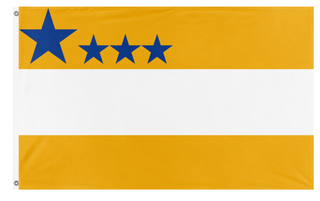 A mockup of the custom flag 'Nylon Flag' on a white background