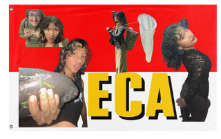 A mockup of the custom flag 'Ecaworld flag' on a white background