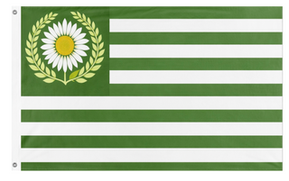 A mockup of the custom flag 'Eco. U.S flag' on a white background