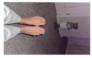 A mockup of the custom flag 'Them DAWGS flag' on a white background