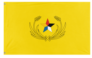 A mockup of the custom flag 'i dont remeber their flag' on a white background