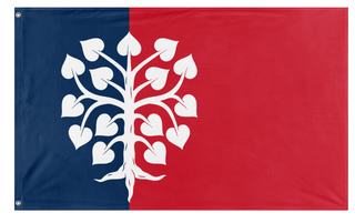 A mockup of the custom flag 'Socialist France flag' on a white background