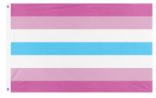A mockup of the custom flag 'Femboy pride flag' on a white background
