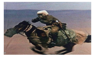 A mockup of the custom flag 'horseback flag' on a white background