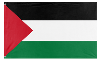 A mockup of the custom flag 'PLSTNE flag' on a white background