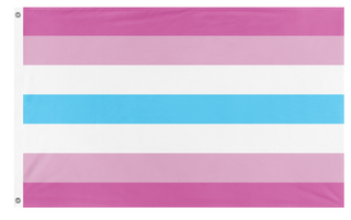 A mockup of the custom flag 'Femboy flag' on a white background