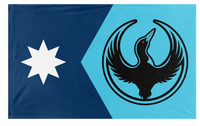A mockup of the custom flag 'MN State Loon Rebel Alliance flag' on a white background