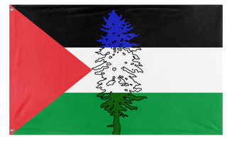 A mockup of the custom flag 'Cascadia for Palestine' on a white background