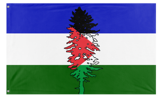 A mockup of the custom flag 'Cascadia for Palestine' on a white background