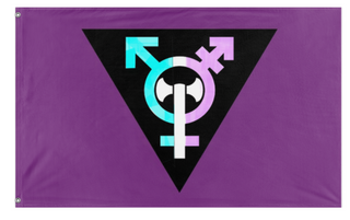 A mockup of the custom flag 'X flag' on a white background