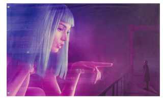 A mockup of the custom flag '2049 flag' on a white background