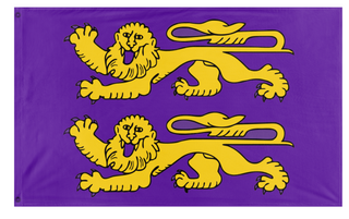 A mockup of the custom flag 'Two Lions on Purple flag' on a white background