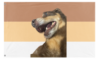 A mockup of the custom flag 'carmel flag' on a white background