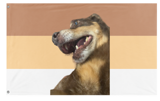 A mockup of the custom flag 'carmel flag' on a white background