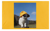 A mockup of the custom flag 'minimeow flag' on a white background
