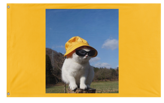 A mockup of the custom flag 'minimeow flag' on a white background