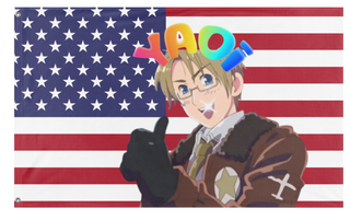 A mockup of the custom flag 'yaoimerica flag' on a white background