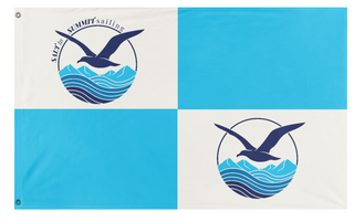 A mockup of the custom flag 'sss flag' on a white background