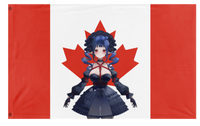 A mockup of the custom flag 'Dizzy Smol flag' on a white background